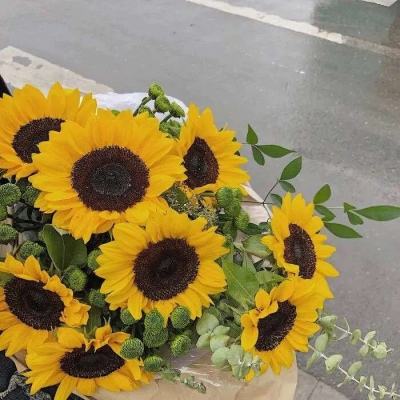 pg电子·模拟器(试玩游戏)