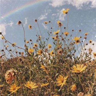 爱游戏全站APP下载