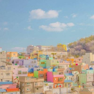 BET365正版唯一官网绿色