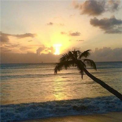 万博客户端app下载