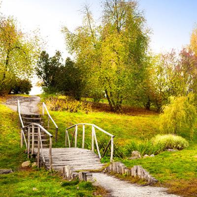 半岛·综合体育手机app下载